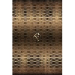 Panel Decorativo Cavalli 6...