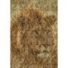 Panel Decorativo Cavalli 1 RC12069